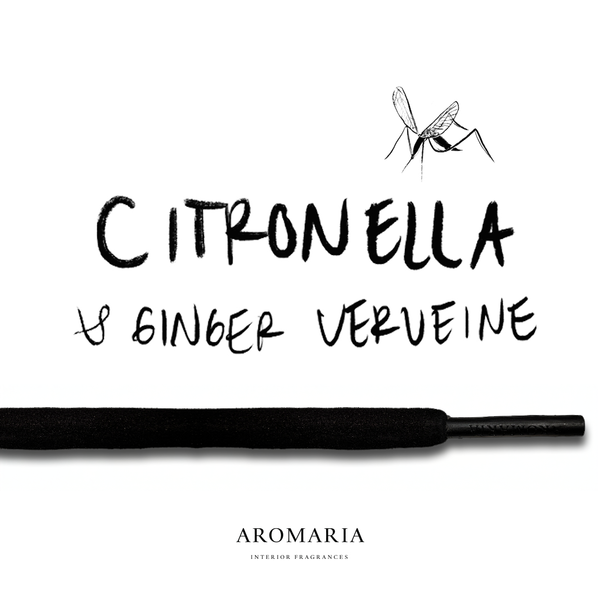 Citronella - 1.2 m Perfume Stick (XL)